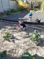 Zdjęcie: PRACUJEMY W DOMU