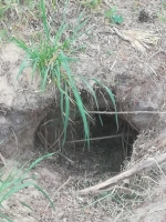 Zdjęcie: FOTORELACJA Z WTORKU 28.04.2020