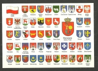 Zdjęcie: ZADANIA NA ŚRODĘ 29 KWIECIEŃ