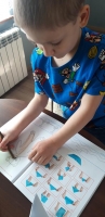 Zdjęcie: FOTORELACJA Z CZWARTKU 30.04.2020