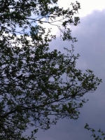 Zdjęcie: FOTORELACJA Z PONIEDZIAŁKU 04.05.2020