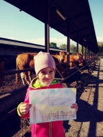 Zdjęcie: FOTORELACJA Z WTORKU 05.05.2020