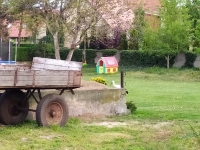 Zdjęcie: FOTORELACJA Z CZWARTKU 07.05.2020