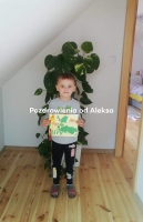 Zdjęcie: Galeria prac-zdjęcia