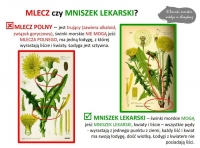Zdjęcie: PROPOZYCJE NA CZWARTEK 14.05.2020