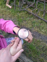 Zdjęcie: FOTORELACJA Z ŚRODY 13.05.2020