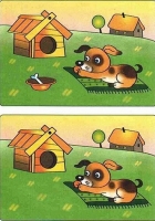 Zdjęcie: Jak tu pięknie i wesoło.