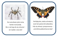 Zdjęcie: Zajęcia online 18.05.20