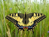 Zdjęcie: 18.05.20. Poniedziałek