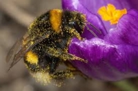Zdjęcie: 18.05.20. Poniedziałek