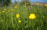 Zdjęcie: 20.05.20. Środa