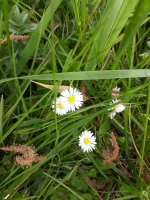 Zdjęcie: 20.05.20. Środa