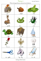 Zdjęcie: LITERA 