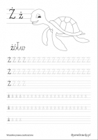 Zdjęcie: LITERA 