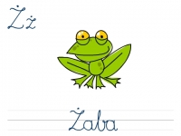 Zdjęcie: LITERA 