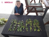 Zdjęcie: PRACUJEMY W DOMU