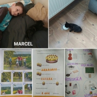 Zdjęcie: PRACUJEMY W DOMU