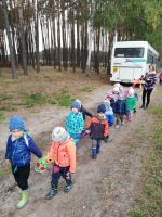 Zdjęcie: Wycieczka do lasu