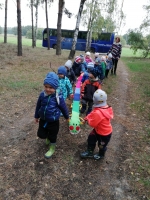 Zdjęcie: Wycieczka do lasu