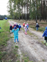 Zdjęcie: Wycieczka do lasu
