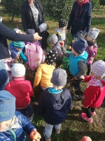 Zdjęcie: Wycieczka do sadu