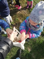Zdjęcie: Wycieczka do sadu