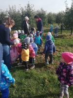 Zdjęcie: Wycieczka do sadu