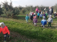 Zdjęcie: Wycieczka do sadu