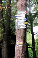 Zdjęcie: ZADANIA NA WTOREK 9 CZERWIEC