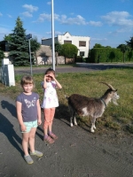 Zdjęcie: FOTORELACJA Z ŚRODY 17.06.2020