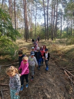Zdjęcie: Wycieczka do lasu
