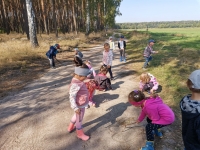Zdjęcie: Wycieczka do lasu