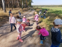 Zdjęcie: Wycieczka do lasu