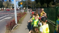 Zdjęcie: POZNAJEMY ZASADY RUCHU DROGOWEGO
