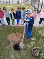 Zdjęcie: Przyszła do nas Pani Jesień