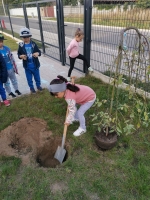 Zdjęcie: Przyszła do nas Pani Jesień