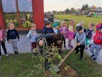 Zdjęcie: Przyszła do nas Pani Jesień