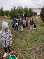 Zdjęcie: Jesienny sad