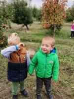 Zdjęcie: Jesienny sad