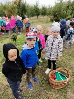 Zdjęcie: Jesienny sad