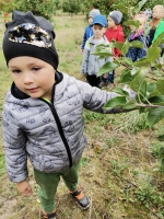 Zdjęcie: Jesienny sad