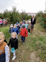Zdjęcie: Jesienny sad