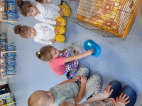 Zdjęcie: GOŚCIE U TYGRYSKÓW