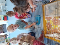 Zdjęcie: GOŚCIE U TYGRYSKÓW