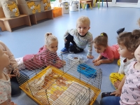 Zdjęcie: GOŚCIE U TYGRYSKÓW