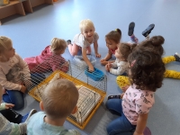 Zdjęcie: GOŚCIE U TYGRYSKÓW