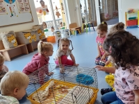 Zdjęcie: GOŚCIE U TYGRYSKÓW
