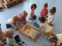 Zdjęcie: GOŚCIE U TYGRYSKÓW