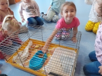 Zdjęcie: GOŚCIE U TYGRYSKÓW
