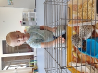 Zdjęcie: GOŚCIE U TYGRYSKÓW